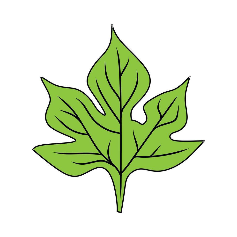 Bright Green Leaf Illustration with Defined Veins and Natural Style. vector