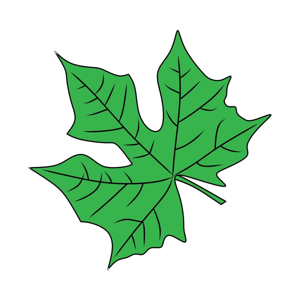 Vibrant Green Leaf Illustration with Detailed Veins and Unique Shape. vector