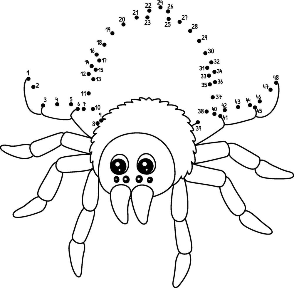 Dot to Dot Tarantula Australian Animal Isolated vector
