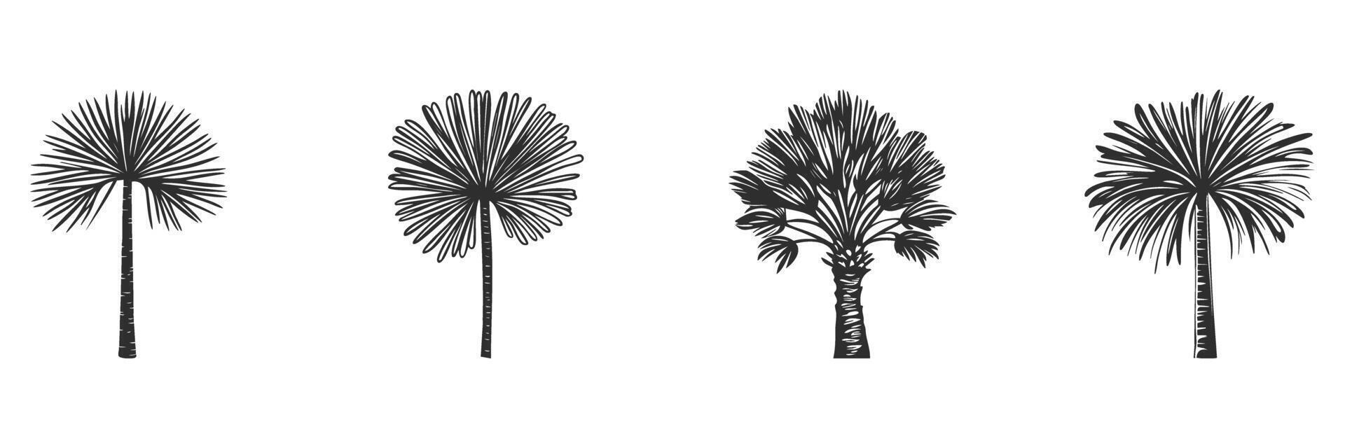 Palm Tree Silhouettes Set. Tropical Nature And Beach Vibes vector