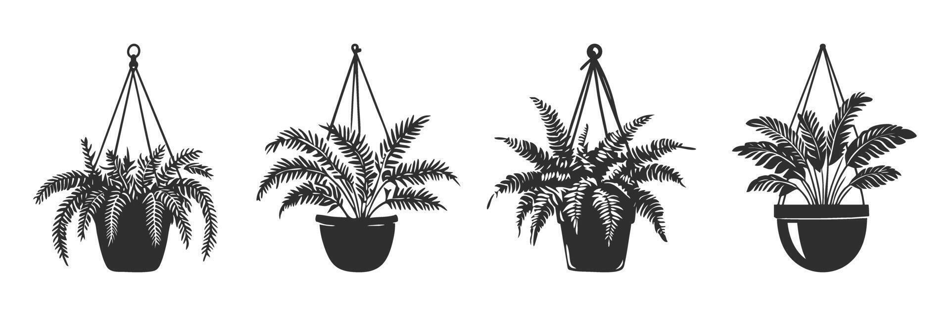 Hanging Fern Plants Silhouette Set. Indoor Greenery And Home Decor Elements Isolated Illustration Collection vector