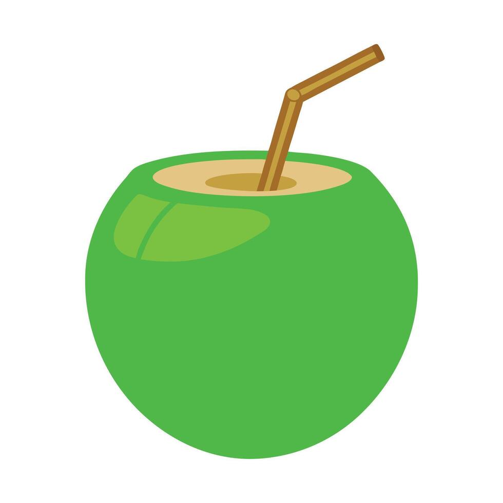Green Coconut Drink iIlustration Art Work vector