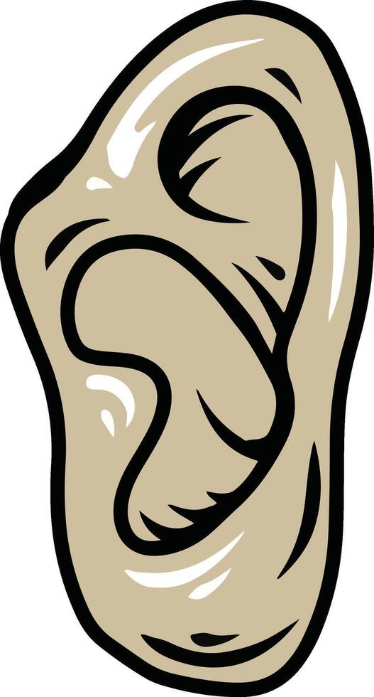 human ear illustration vector