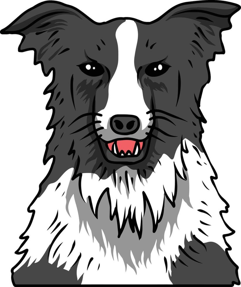 Border collie dog clipart vector