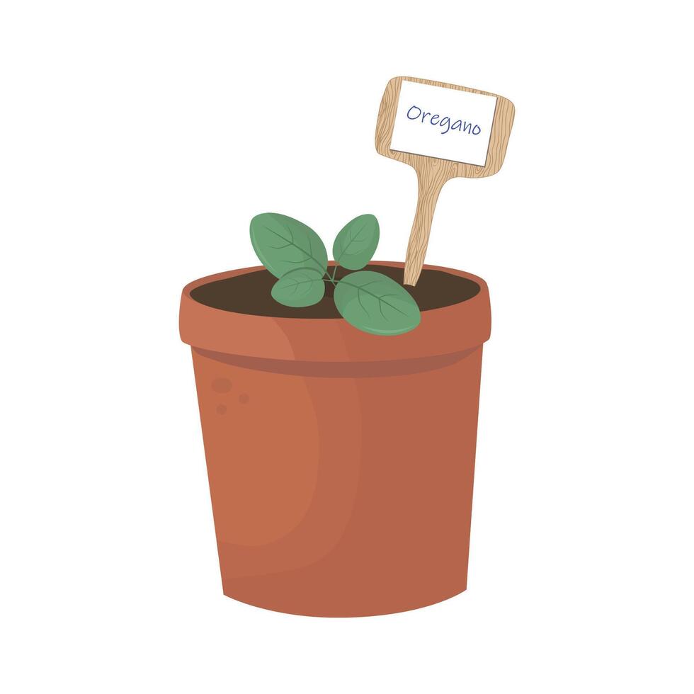 Oregano Seedling in Terracotta Pot with Garden Marker Illustration vector