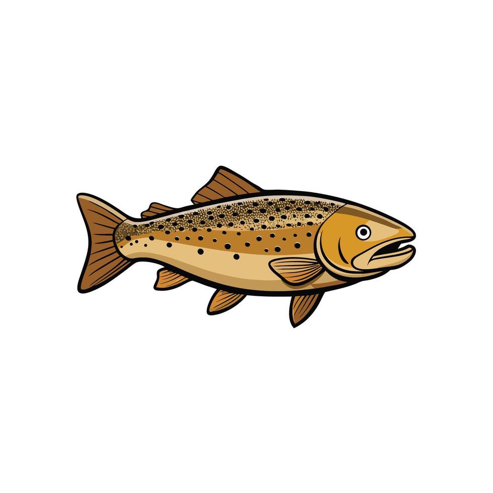Brown trout illustration with black outlines on a white background vector