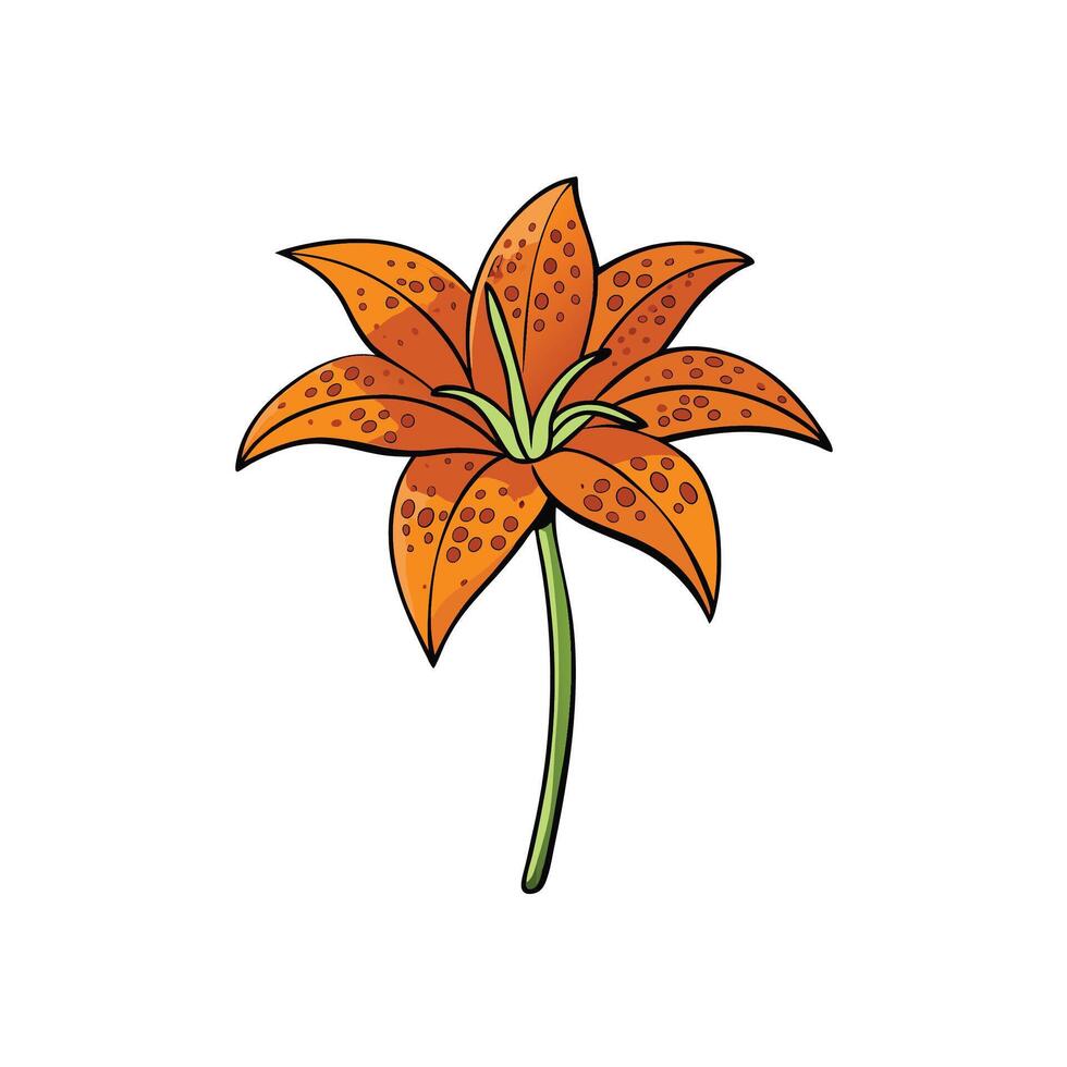 Stylized Orange Lily Illustration with Black Outline and Spots vector