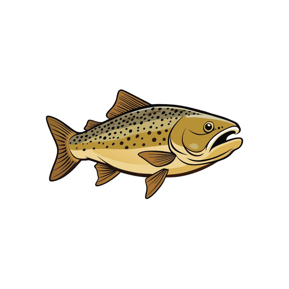 Detailed illustration of a spotted brown trout fish vector