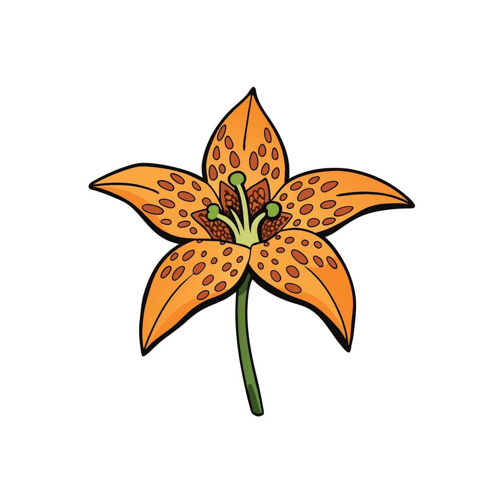 Vibrant orange lily flower with brown spots illustration vector