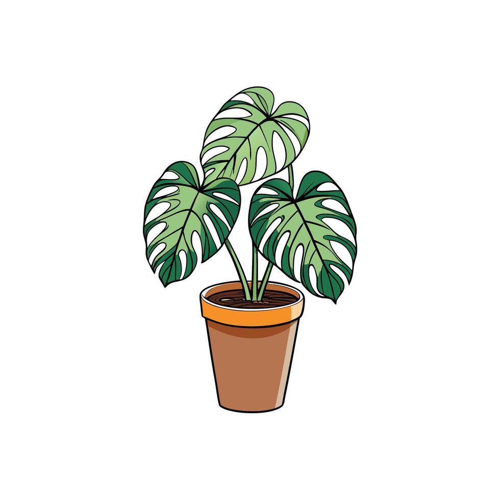 Potted Monstera plant with unique leaf patterns illustration art vector