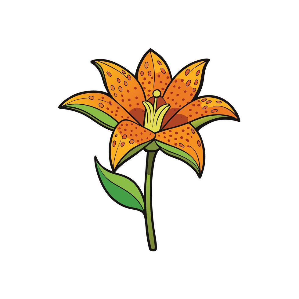 Cartoon Tiger Lily Flower on White Background Illustration vector