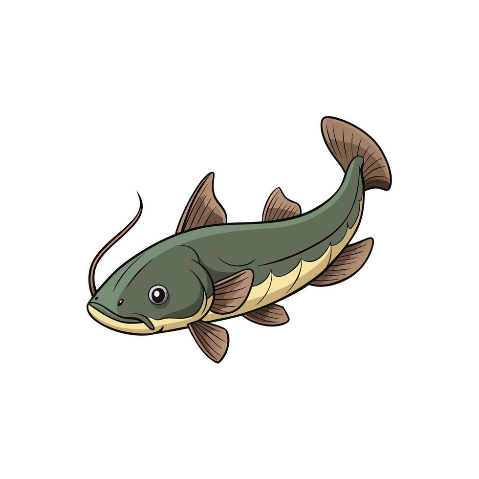 Cartoon catfish illustration in side view on white backdrop vector