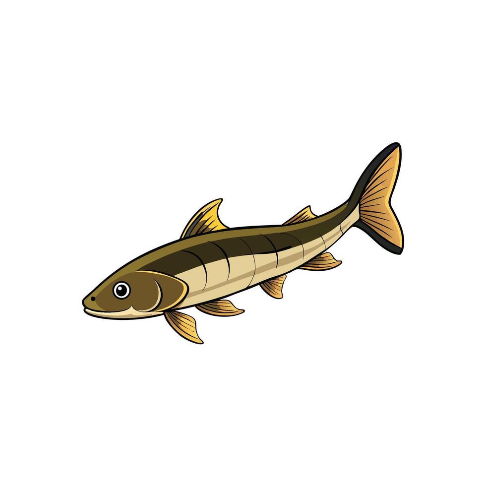 Isolated cartoon illustration of a lake trout fish vector