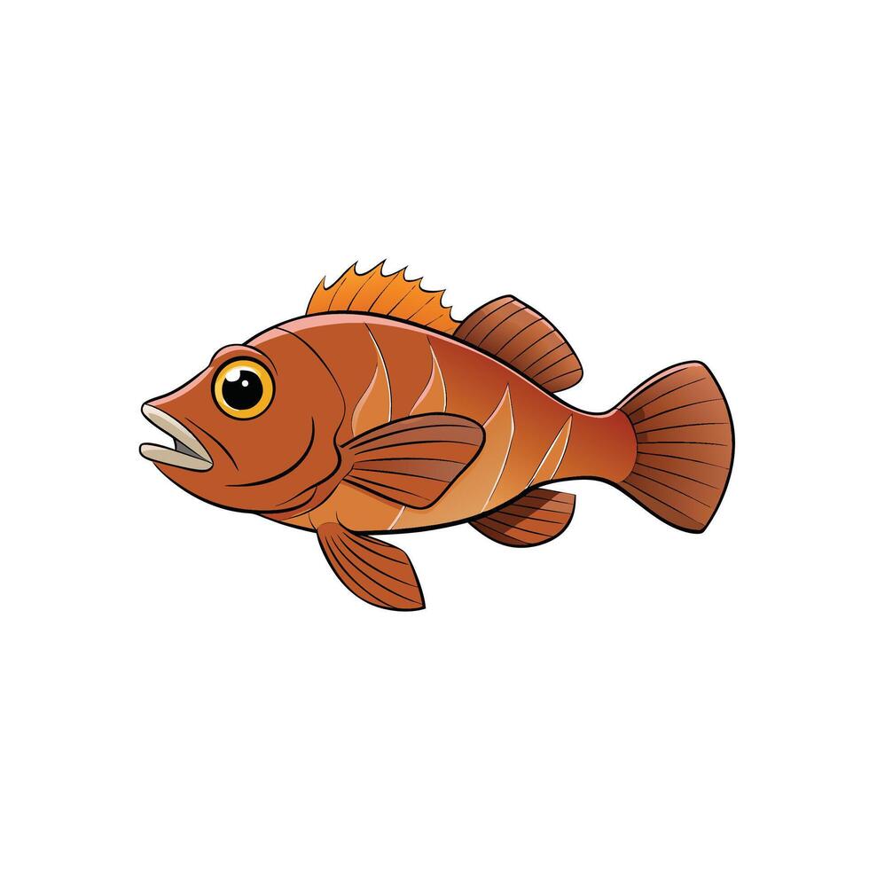 Cartoon Redfish illustration on white background marine life illustration vector