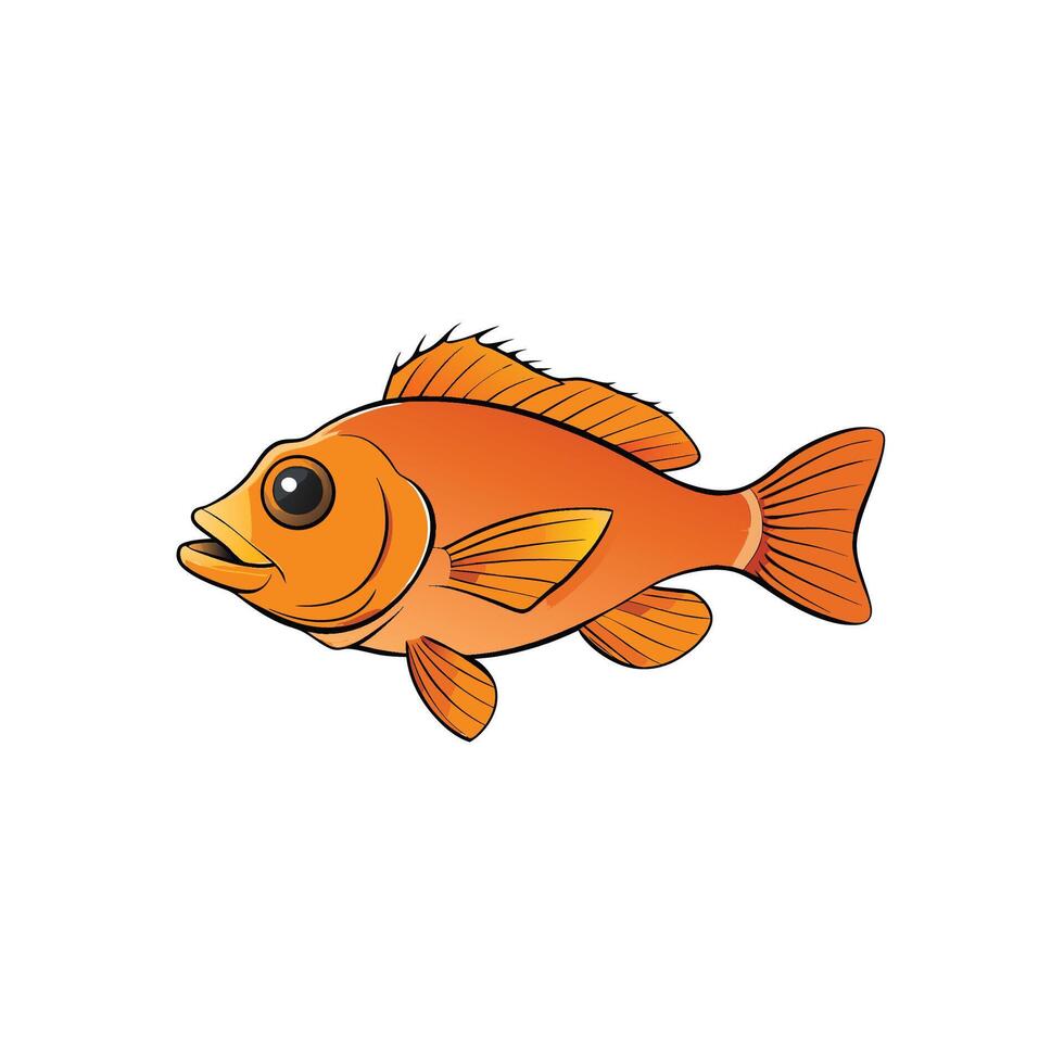 Vibrant goldfish illustration with detailed fins on white background vector