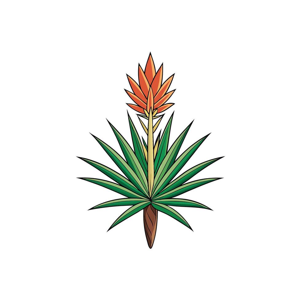 Aloe plant with orange flower in cartoon style vector