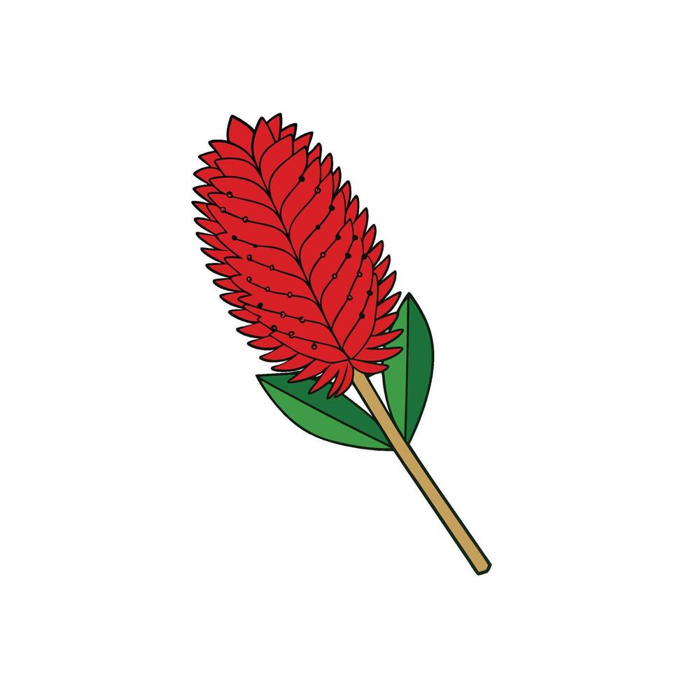 Decorative red ginger flower with green leaves illustration vector
