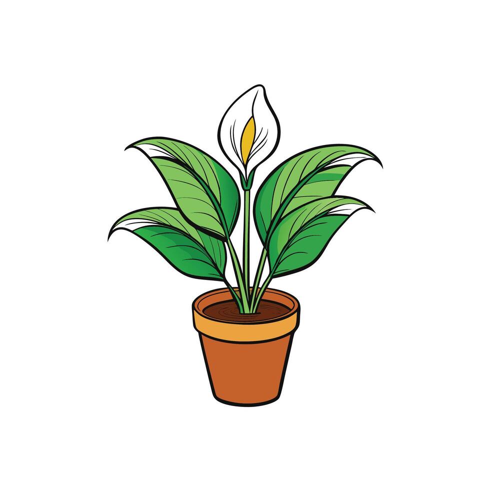 Cartoon Peace Lily Plant in Terracotta Pot Illustration vector