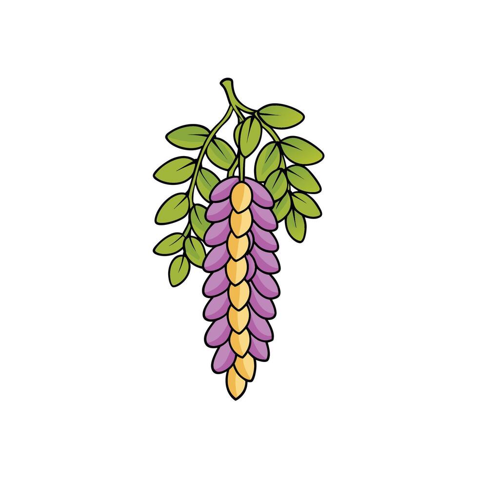 Cartoon wisteria illustration showing leaves and purple flowers vector