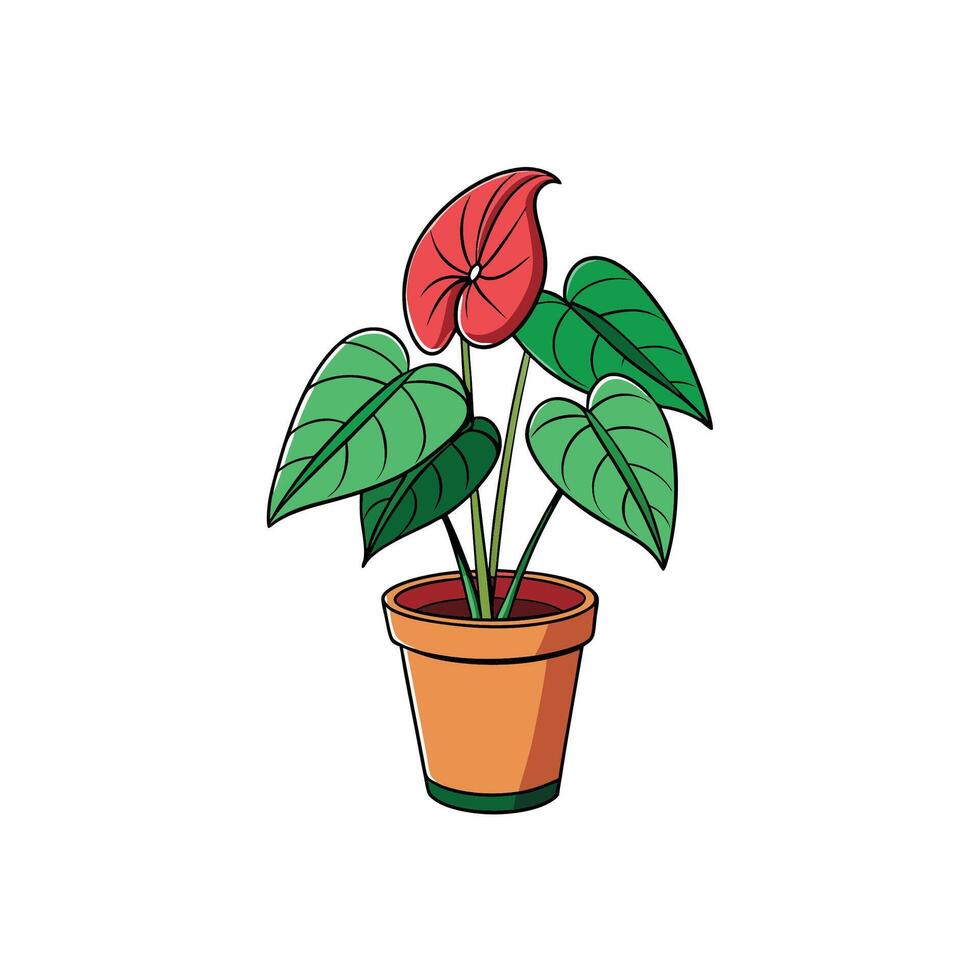 Cartoon Anthurium plant in a pot graphic illustration vector