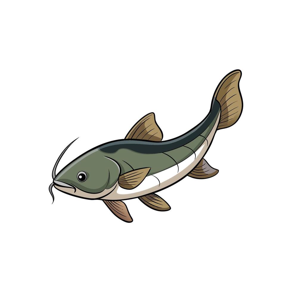 Cartoon illustration of a catfish swimming in a streamlined manner vector