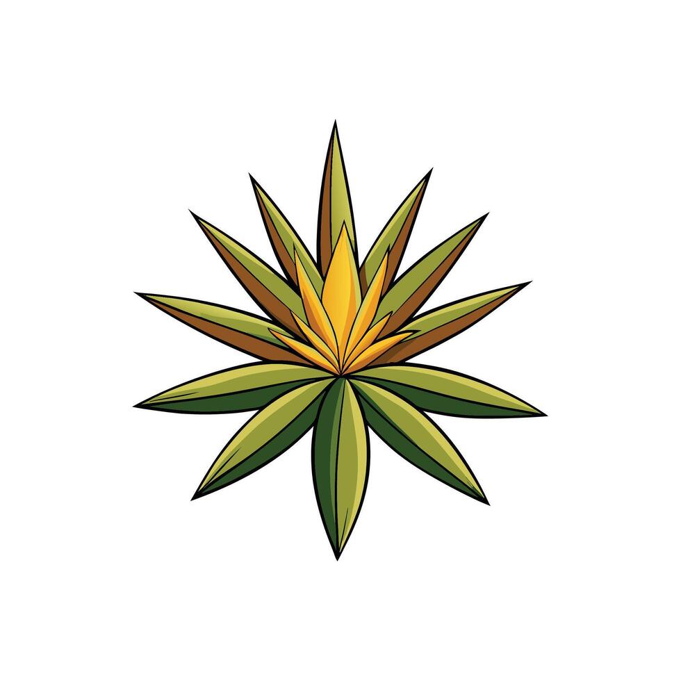 Stylized flower rosette graphic with pointed petals on white vector