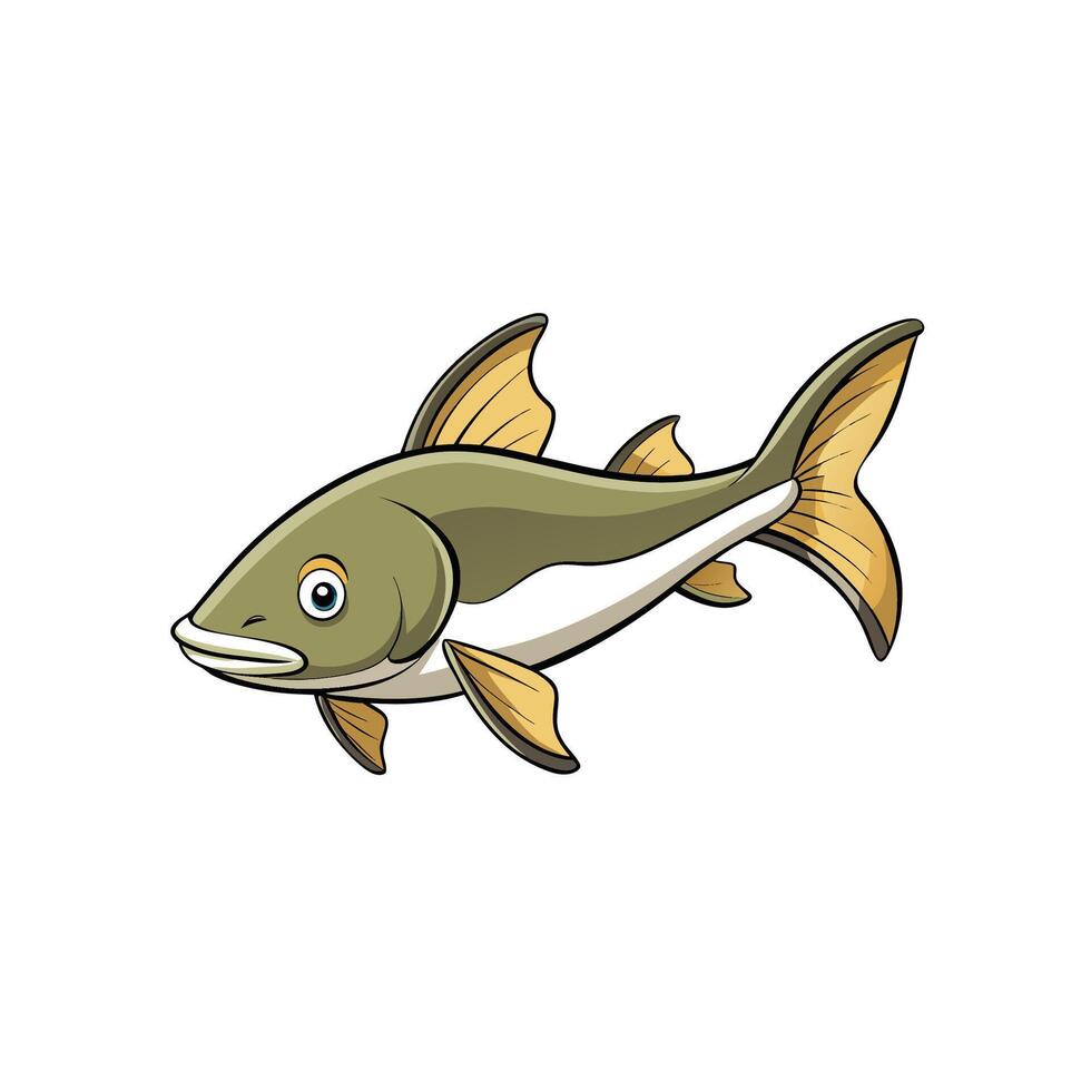 Illustration of a fresh water fish on white background vector