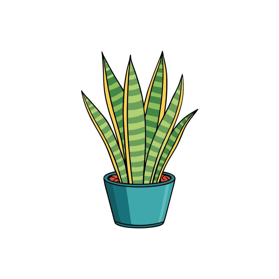 Stylized Snake Plant Illustration in Blue Pot on White vector