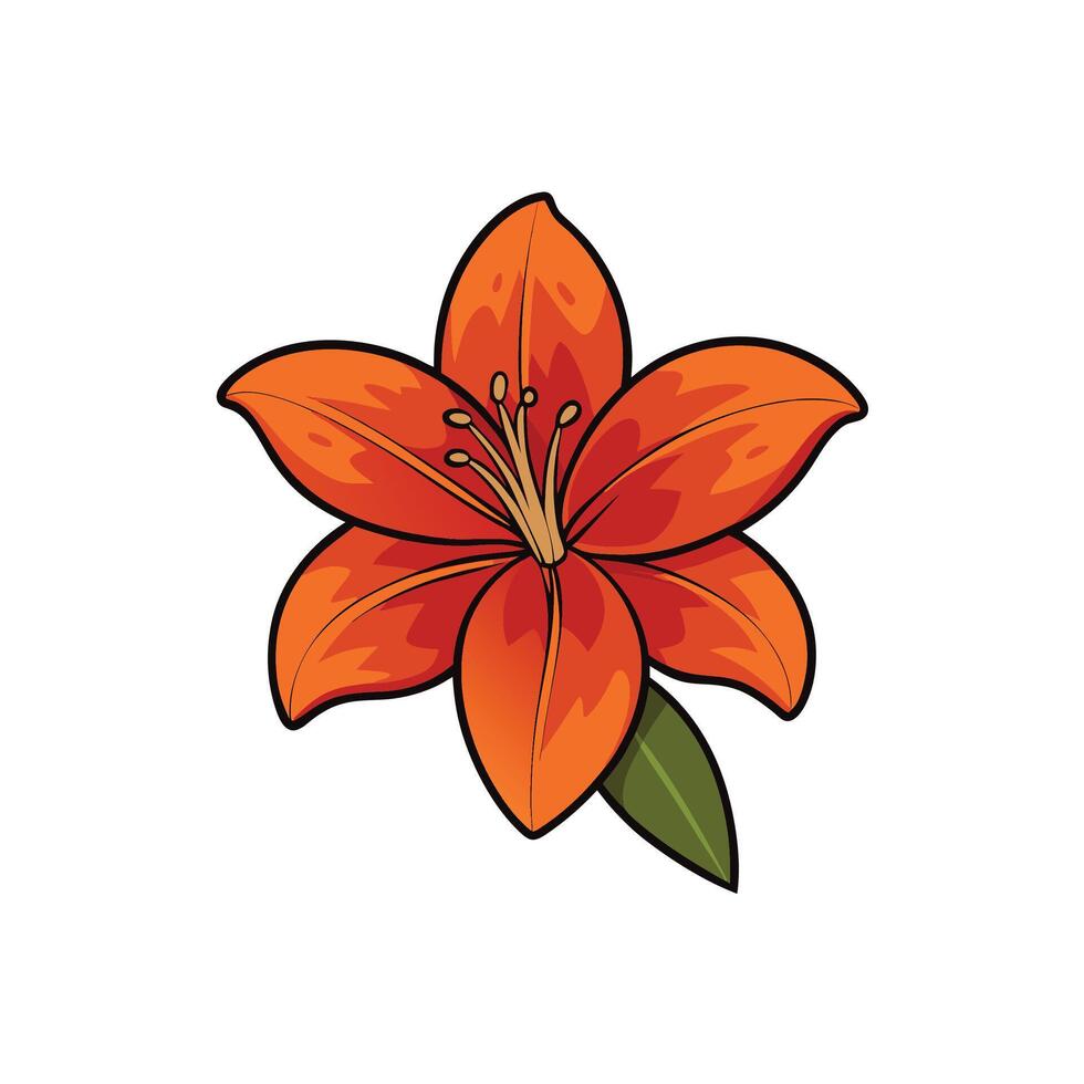 Graphic illustration of an orange lily flower with leaf vector