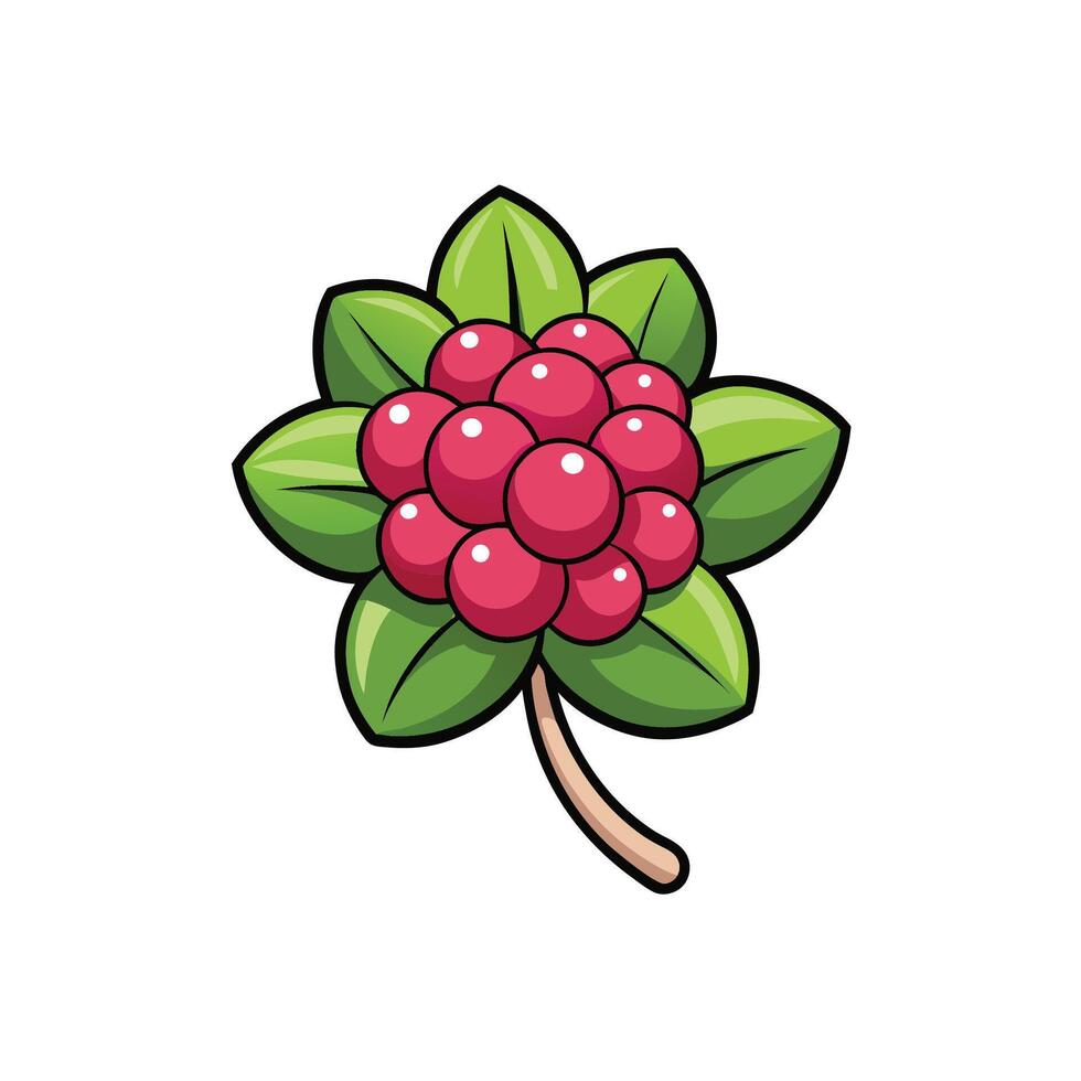 Illustration of glossy lingonberry cluster with green leaves vector