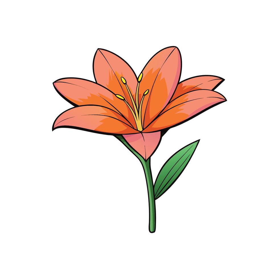Vibrant orange lily illustration with stem and leaf detail vector