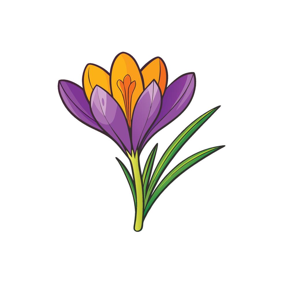 Bright cartoon style crocus flower in full bloom image vector