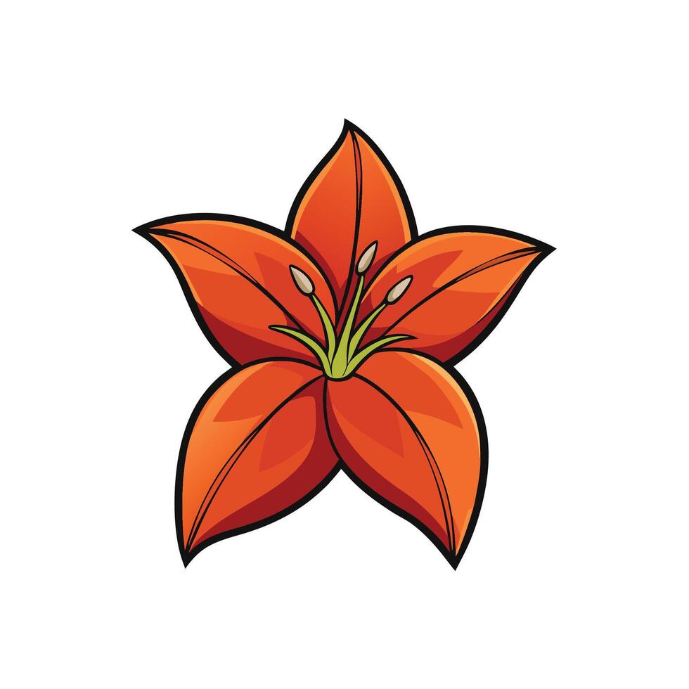 Stylized orange lily flower illustration on a white background vector