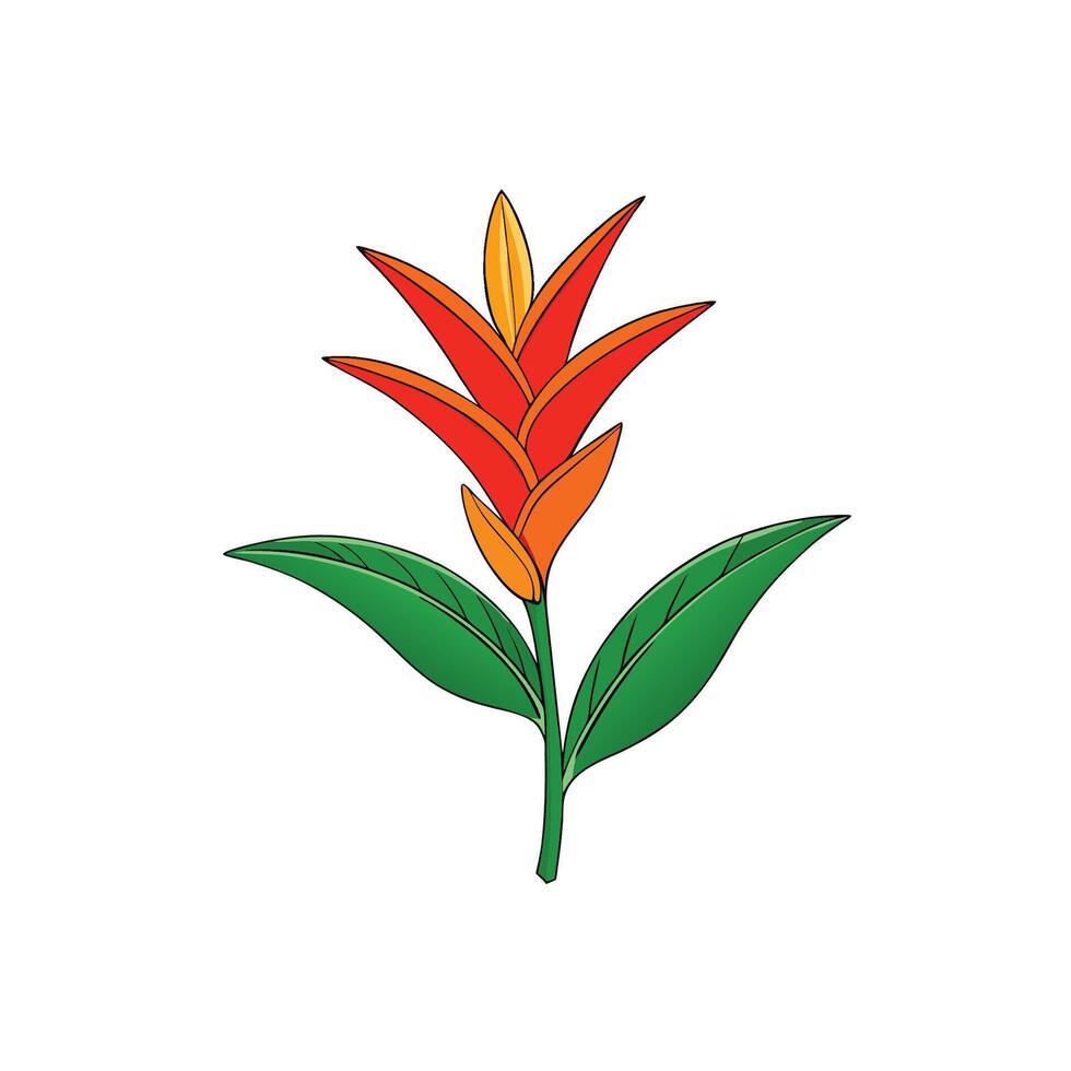Vibrant heliconia flower illustration with green leaves and stem vector