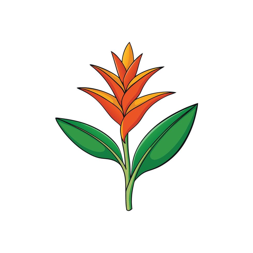 Stylized Heliconia flower with green leaves on white background vector