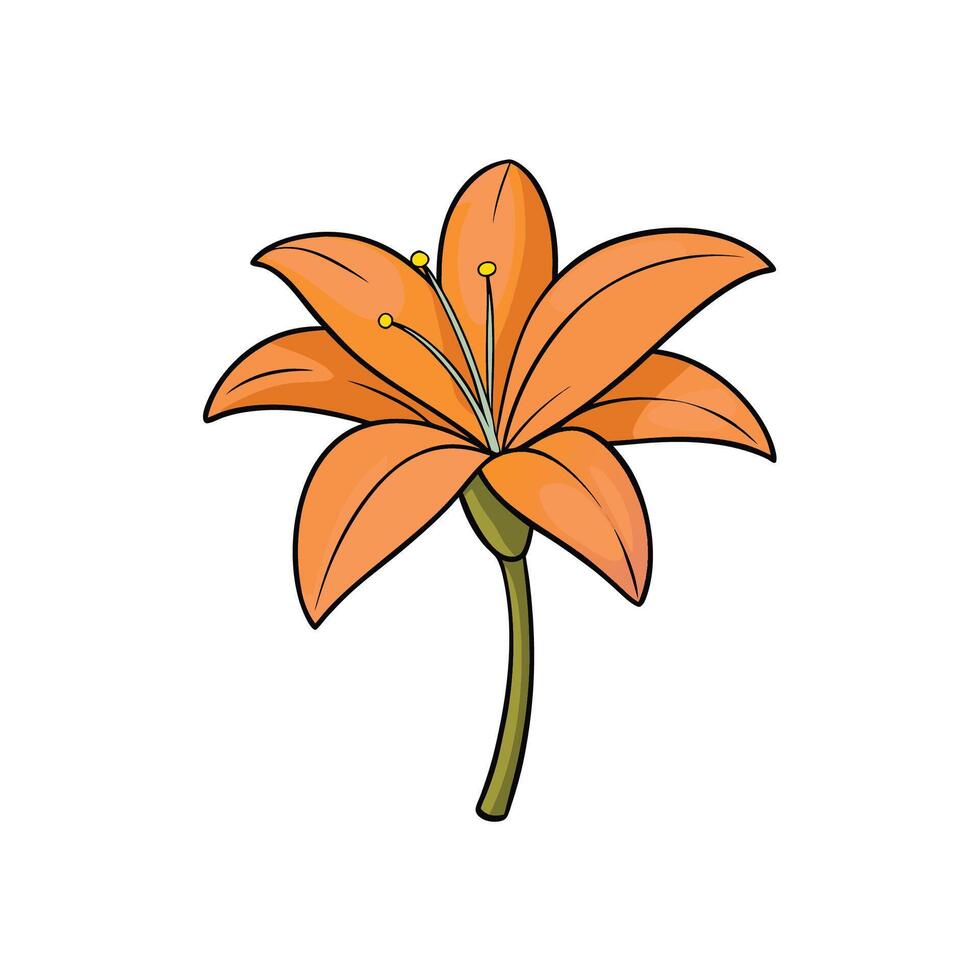 Vibrant orange lily with black outline on white background vector