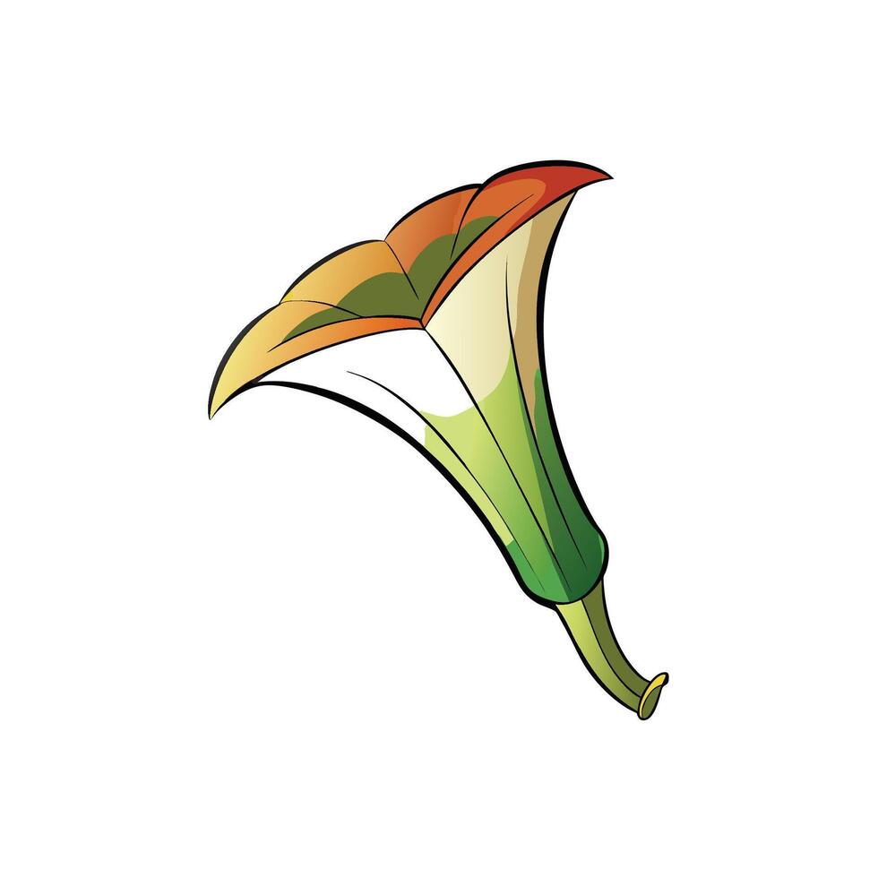 Cartoon stylized trumpet flower in bloom on white background vector