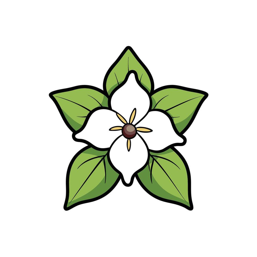 Simple cartoon style drawing of white trillium flower vector