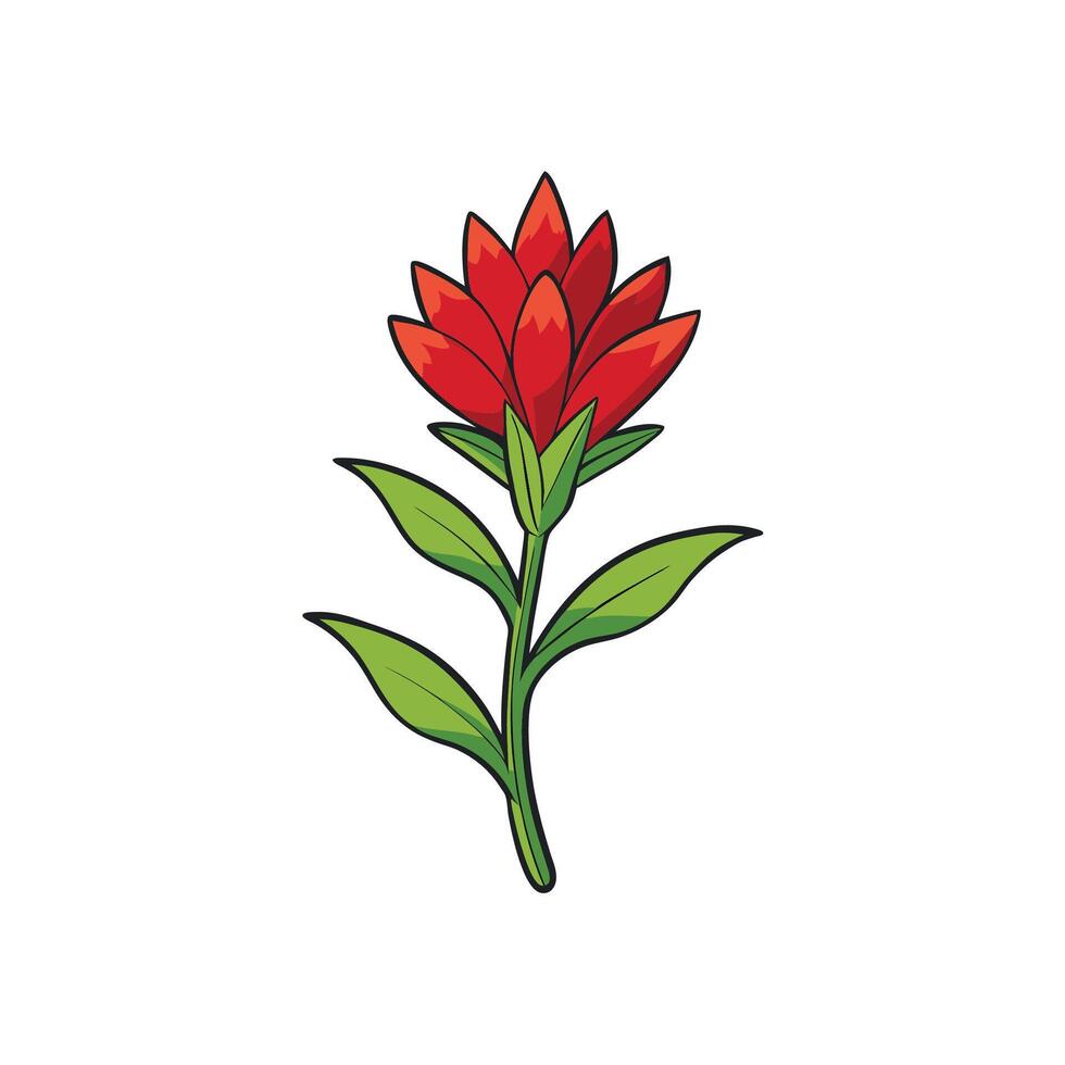 Isolated cartoon illustration of a bright red Indian paintbrush flower vector