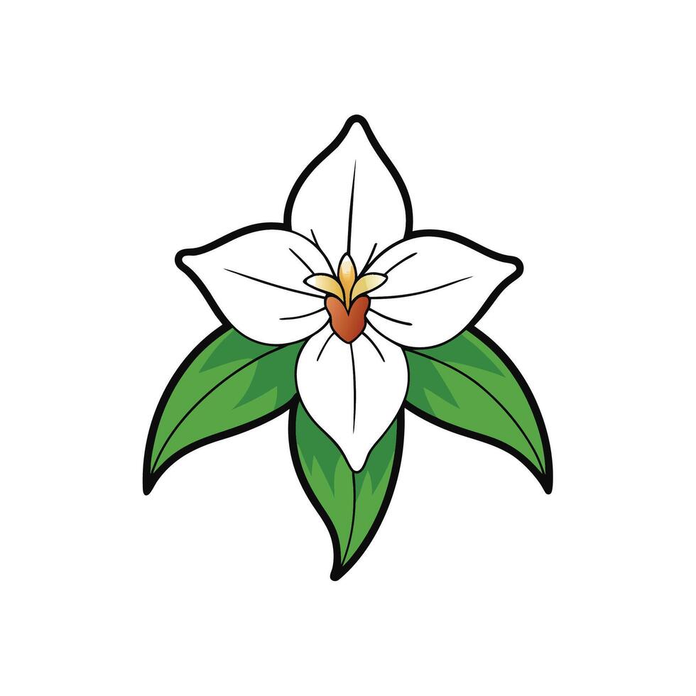 Trillium flower cartoon style illustration in white and green vector