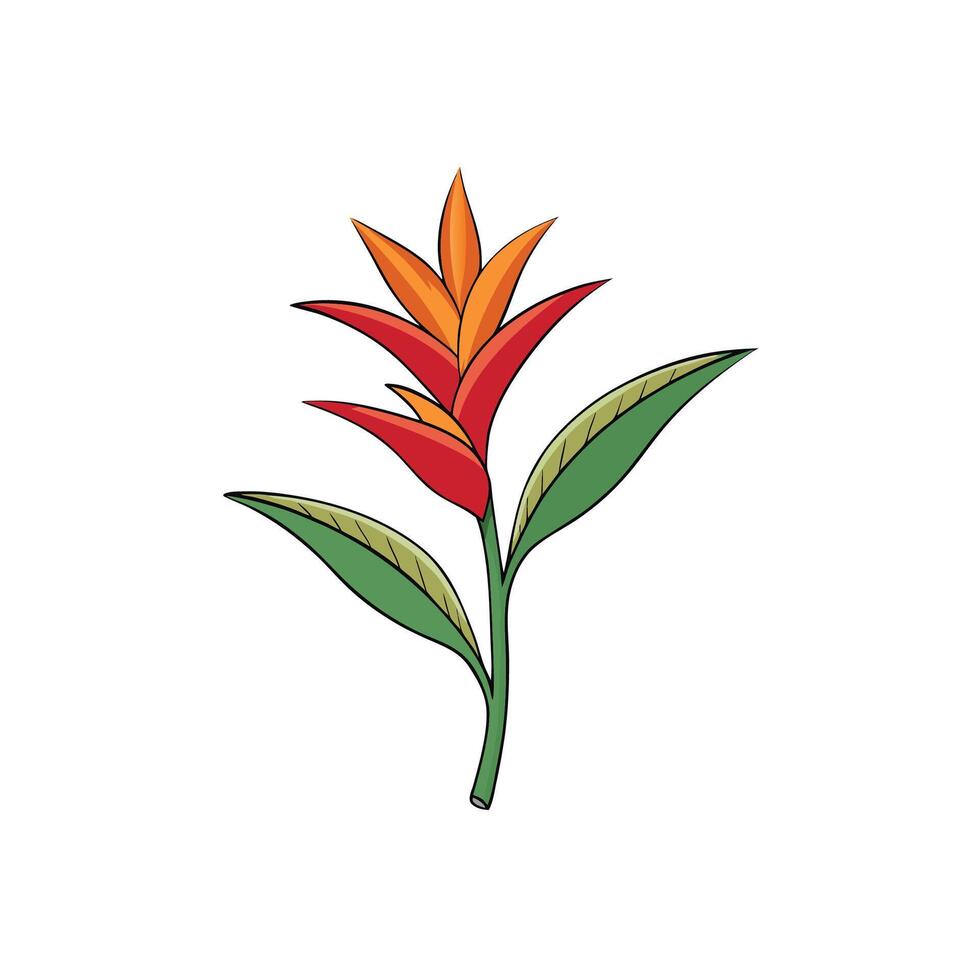 Bright tropical flower illustration with leaves and stem art vector