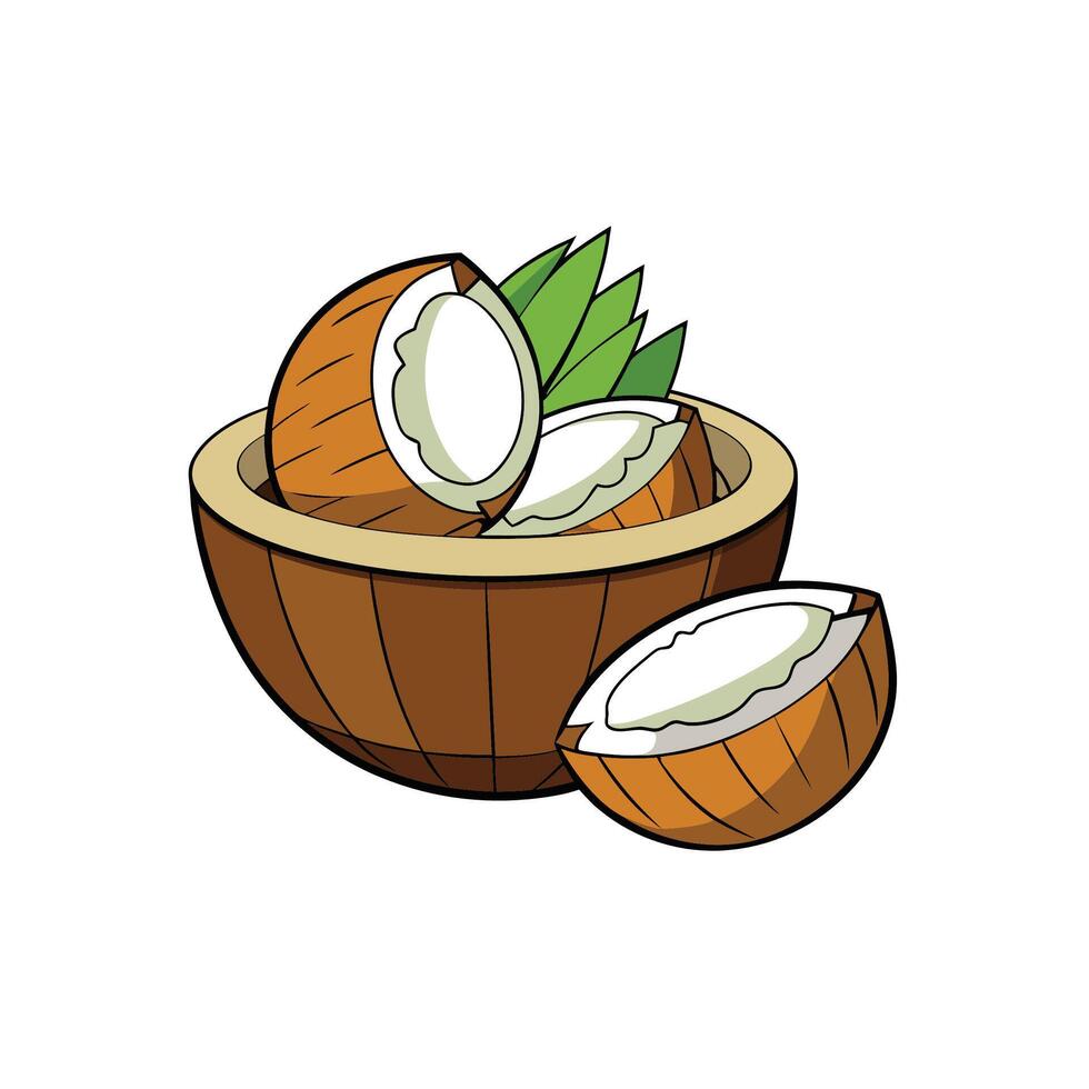 Stylized illustration of coconuts and coconut bowl graphics vector