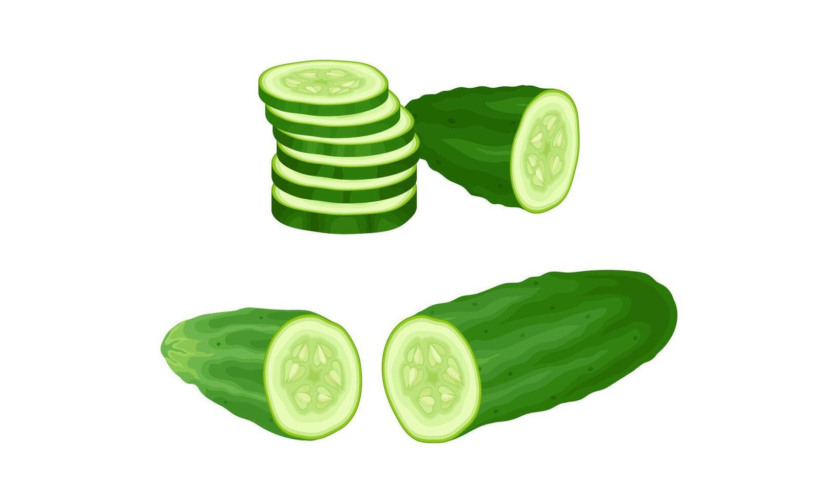 Fresh green whole and sliced cucumber vegetable. Healthy nutrition food illustration vector