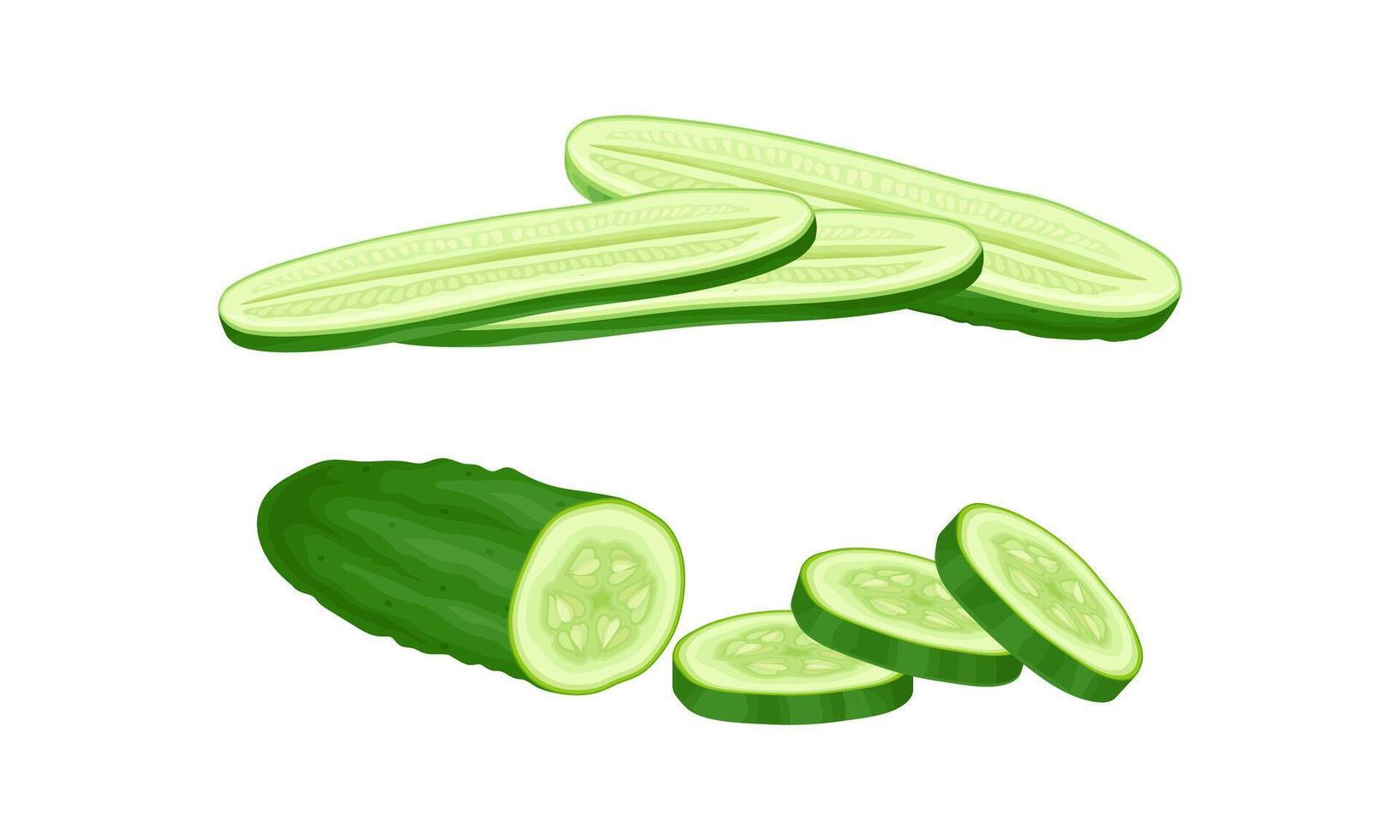Fresh green sliced cucumber vegetable illustration on white background vector