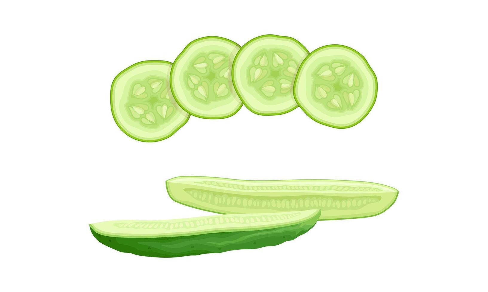 Fresh sliced cucumber vegetable. Healthy nutrition food illustration vector