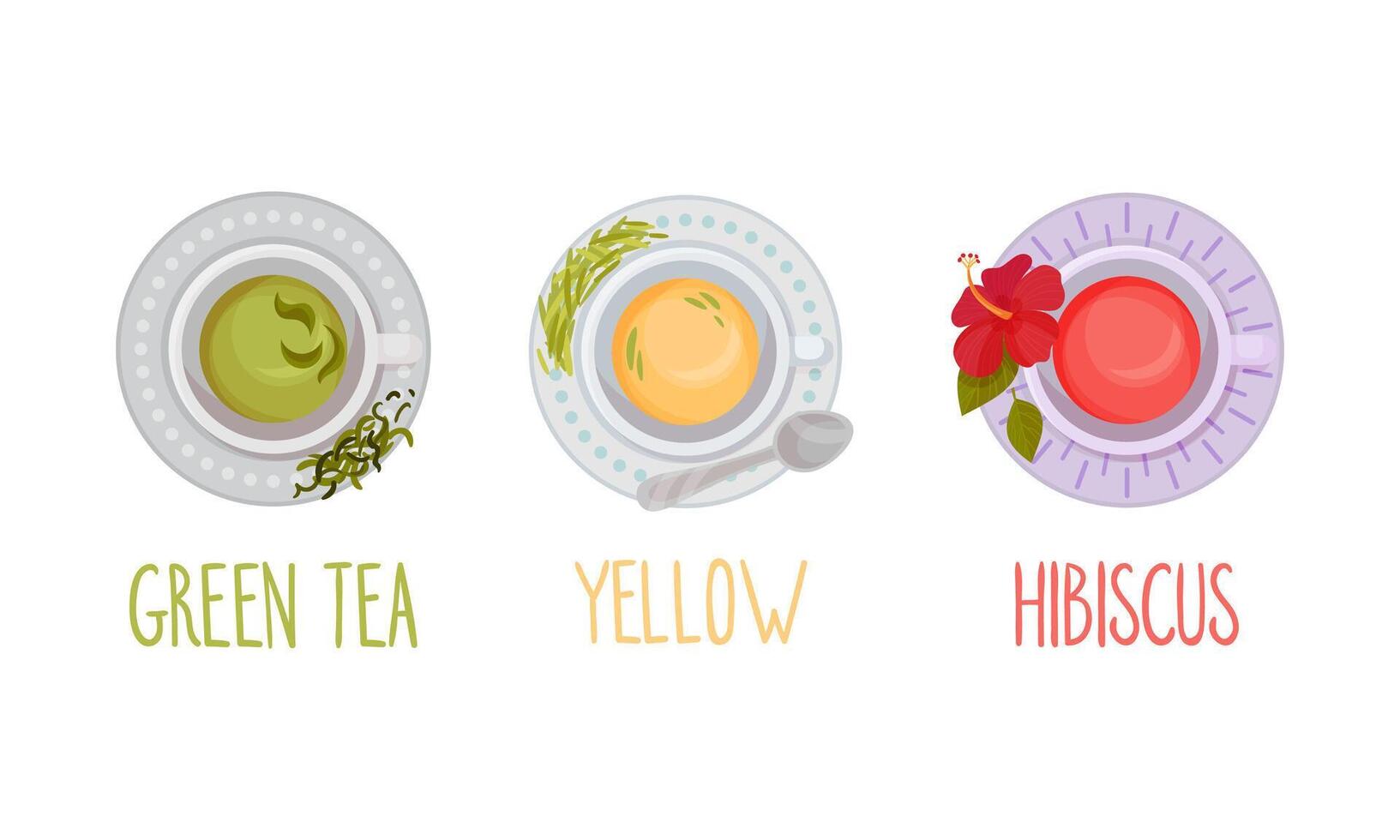 Hot aromatic tea set. Top view of teacup with green, yellow, hibiscus tea illustration vector