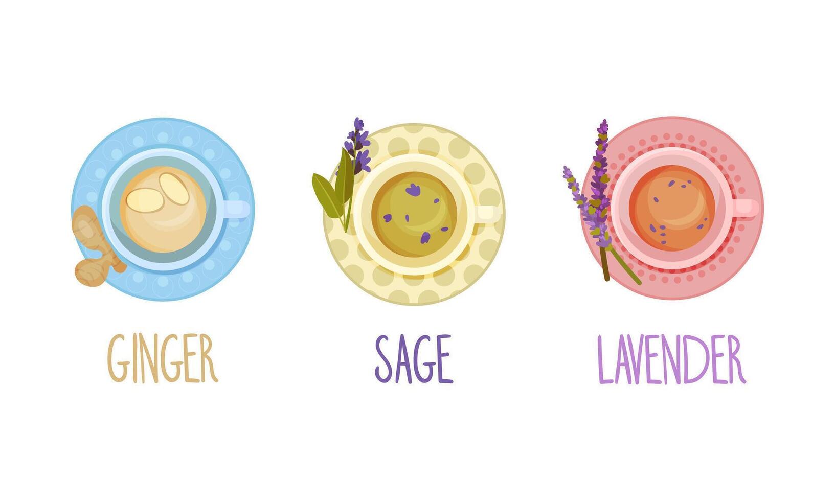 Hot aromatic tea set. Top view of teacup with ginger, sage, lavender tea illustration vector