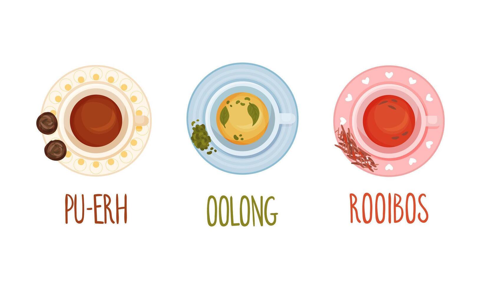 Hot aromatic tea set. Top view of teacup with pu-erh, oolong, rooibos tea illustration vector