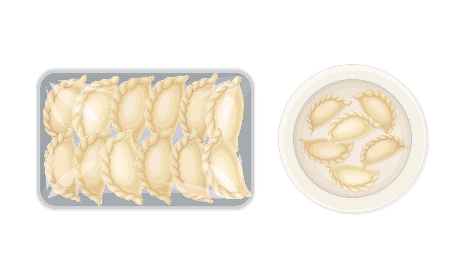 Set of uncooked dumplings on plates. Vareniki made of dough stuffed with meat or vegetables illustration vector