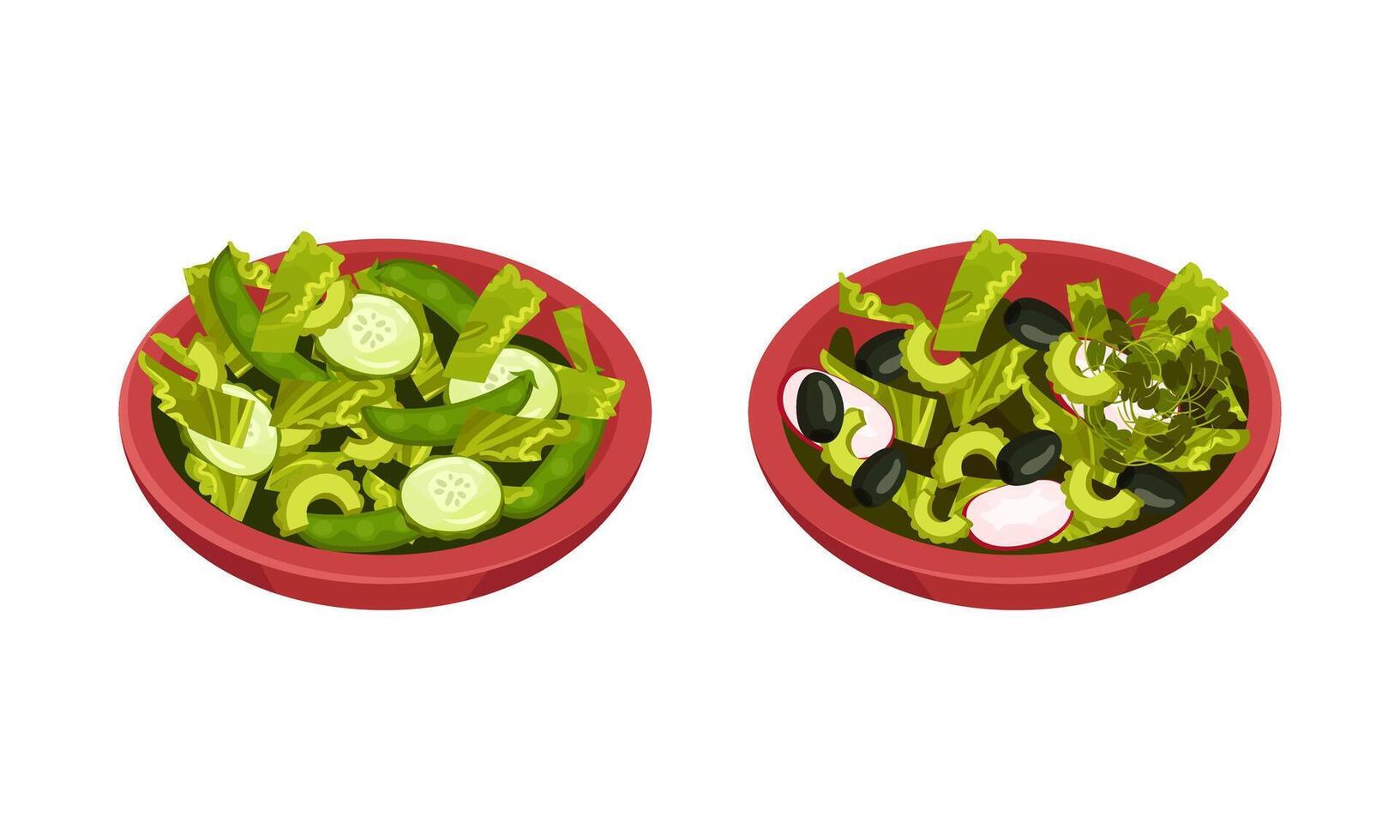 Fresh green vegetable salad served on plates set. Fresh and healthy vegetarian food illustration vector